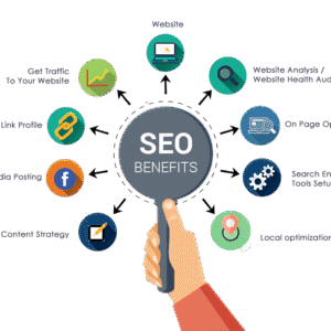 Professional SEO Services
