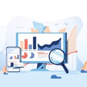 Website Audit